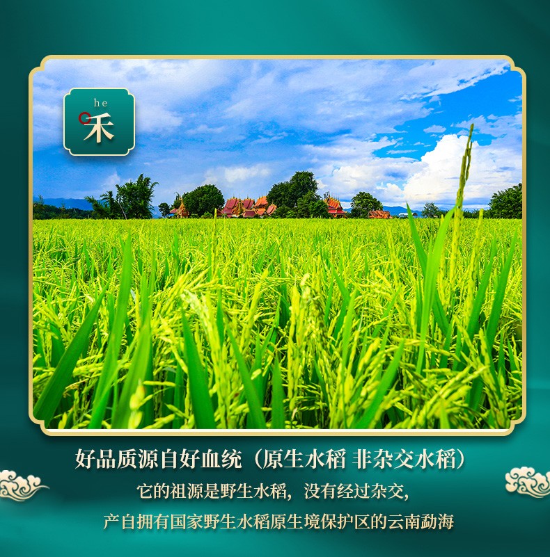 详情5.jpg