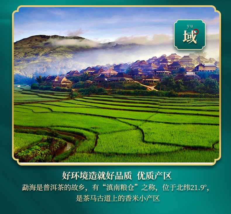 详情6.jpg