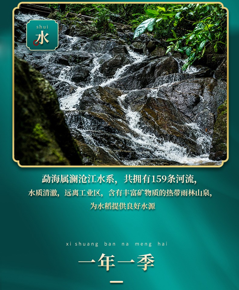 详情7.jpg