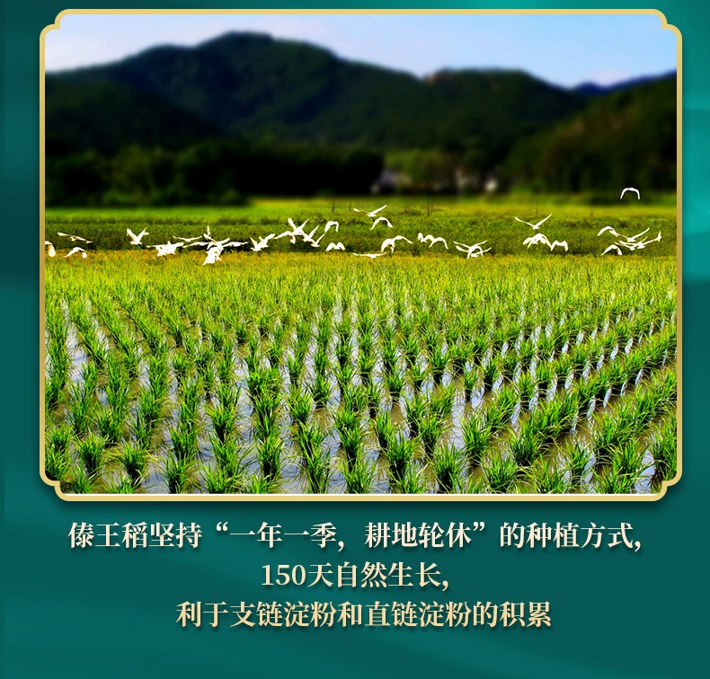 详情8.jpg